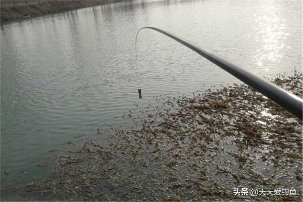 冬釣聚魚技巧：打窩用這幾種方法，能把方圓20米的魚群“請”進窩