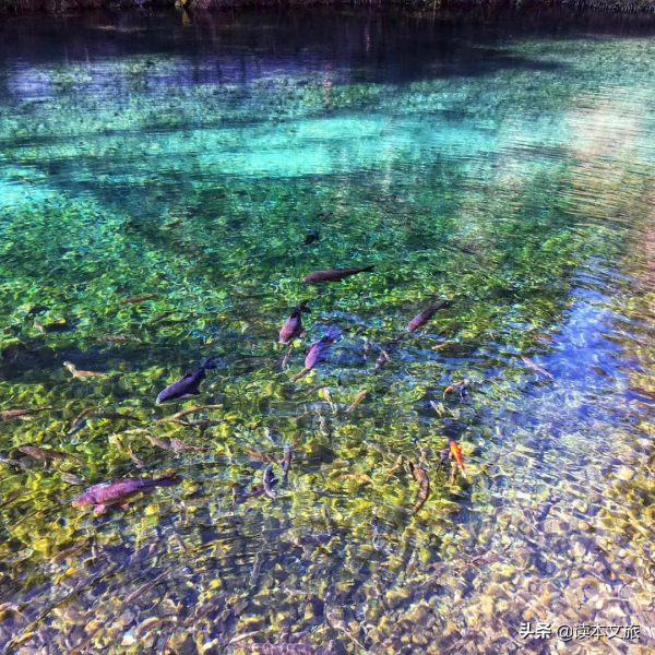 一個束河人的自白