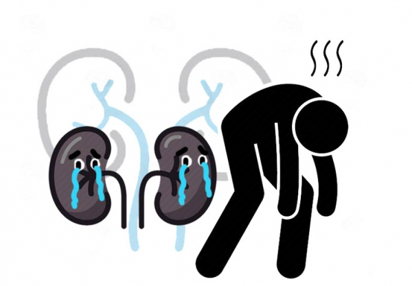 男性如何養生更利於長壽?不瞞你說,4種食物每天吃,預防疾病 男性如何養生更利於長壽?不瞞你說,4種食物每天吃,預防疾病