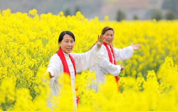 “雲手”動作要領種種——太極拳教學瑣記之一