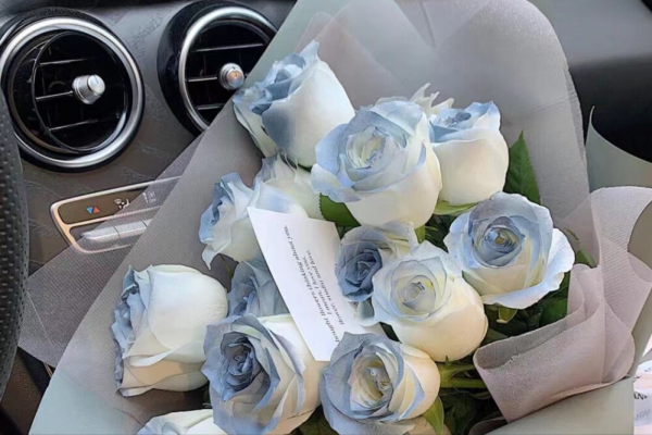 不會說漂亮話，只會用行動證明自己的星座，踏實勤懇，值得深交