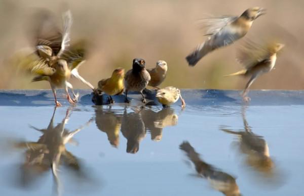 張炎龍:假日旅遊中的喧鬧與寂靜 張炎龍:假日旅遊中的喧鬧與寂靜
