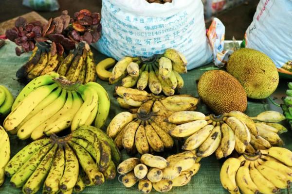 全國秋天神仙菜市場大賞 全國秋天神仙菜市場大賞