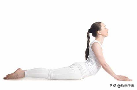 瑜伽眼鏡蛇姿勢的重要性 眼鏡蛇姿勢是最有力、最有益的姿勢之一 瑜伽眼鏡蛇姿勢的重要性 眼鏡蛇姿勢是最有力、最有益的姿勢之一