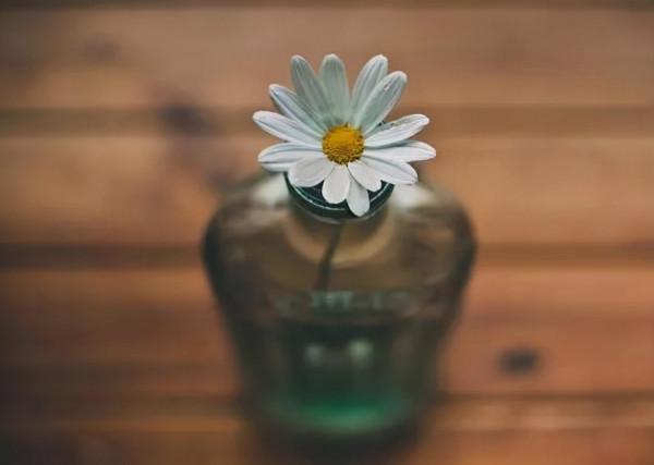 人生總有一段難熬的日子,熬過去,你就贏了 人生總有一段難熬的日子,熬過去,你就贏了