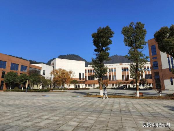 vivo X70 Pro&plus;拍照樣張賞析分享（第3期，有白天和夜景照片）