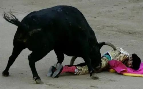 為啥西班牙人，總是跟牛過不去？哪怕被撞飛，也要鬥上一鬥