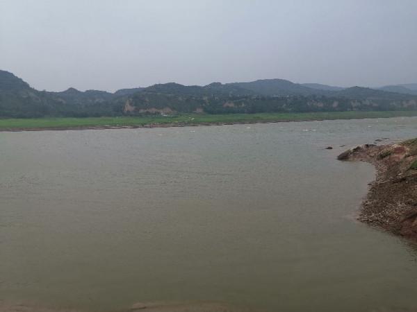 減肥第五天 減肥第五天