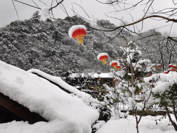 雪落文縣白馬山寨～風景美如畫