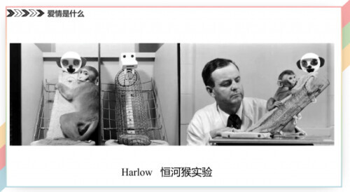 扒牆翻窗也要聽！武大戀愛講座第二彈出筆記了，PPT公開