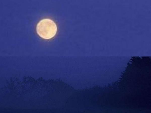 八月的月亮 ●文/段田園