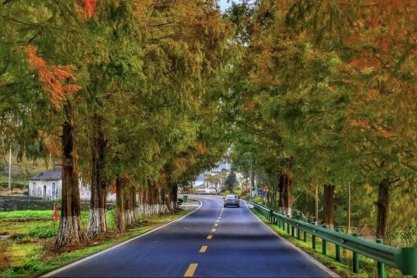 活動招募｜十一國慶皖南尋秋3日自駕之旅—星空露營下的古韻秋色