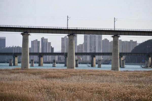 京浪島——永定河下游的小珍珠