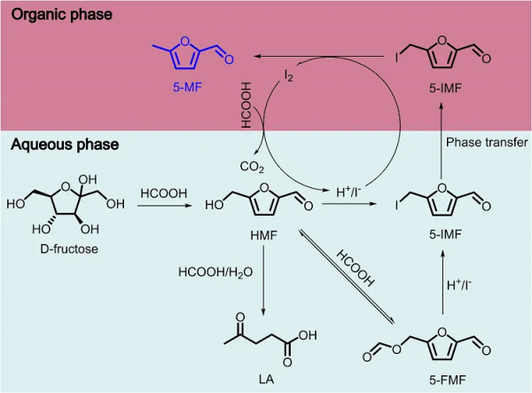 南昌大學楊維冉教授課題組碘催化最新研究工作概覽