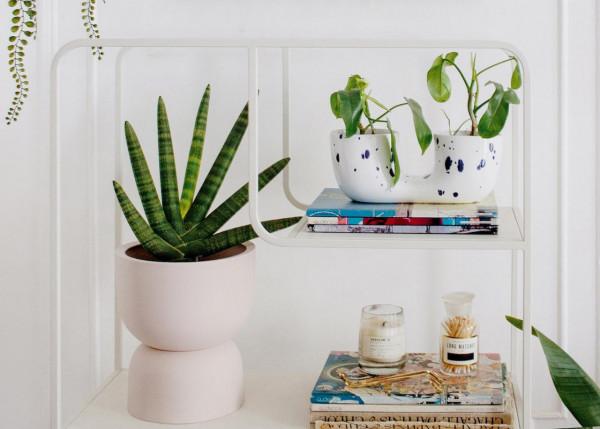 68㎡小公寓,舒適浪漫的甜美風設計,兩人兩貓的溫馨暖宅 68㎡小公寓,舒適浪漫的甜美風設計,兩人兩貓的溫馨暖宅