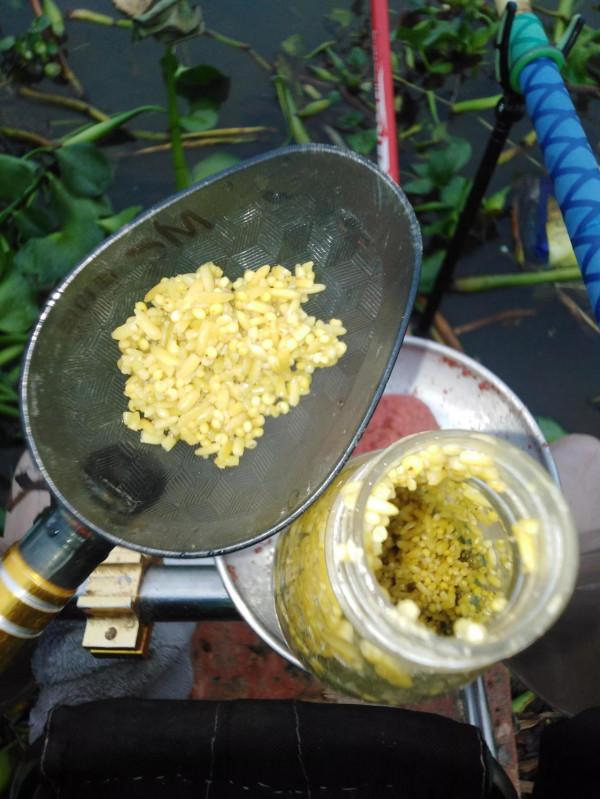 野釣鑑江，冬釣土鯪的第一天