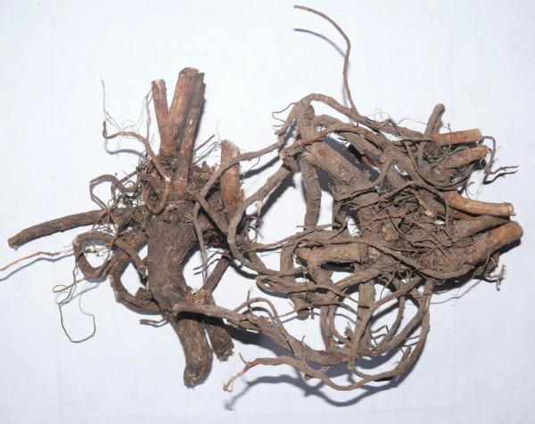 中藥｜治便秘，通腸道