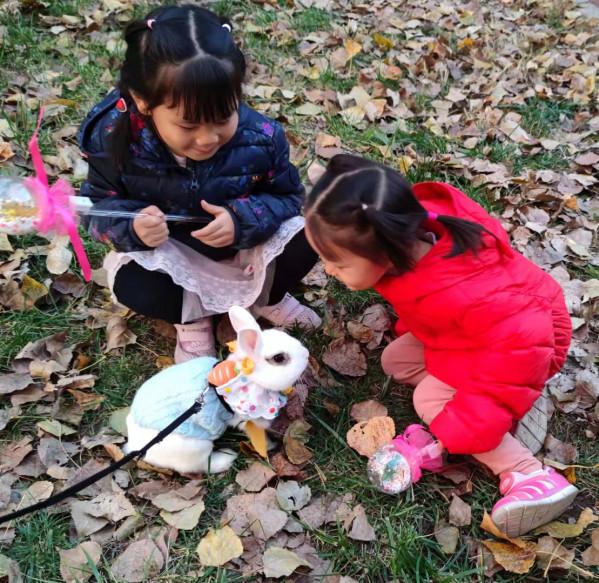 美目盼兮小精靈，疑為玉兔下凡間