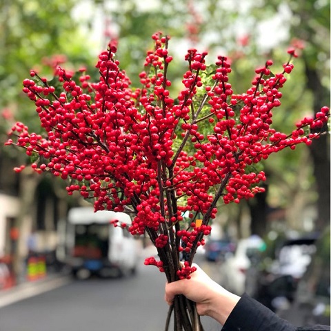 8種“貴族花”，實在太奢侈，動輒上千元，家裡有礦才敢買