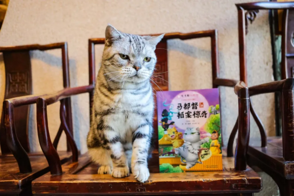 馬都督拍案驚奇