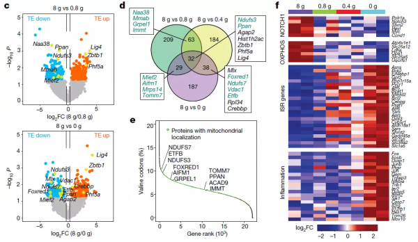 Nature：降低纈氨酸攝入緩解T細胞急性淋巴細胞白血病