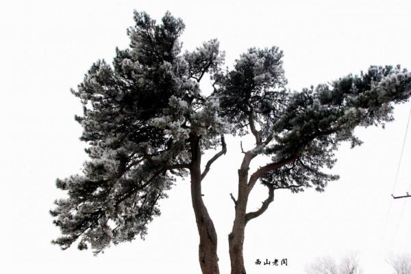 鐵坨山不是北京百慕大 鐵坨山不是北京百慕大