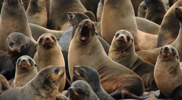 張炎龍:假日旅遊中的喧鬧與寂靜 張炎龍:假日旅遊中的喧鬧與寂靜