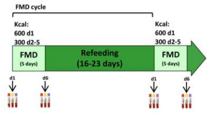 模擬斷食或許真能抗癌！人體研究首次證實，模擬斷食飲食能&OpenCurlyDoubleQuote;餓死&rdquo;癌症患者體內的免疫抑制細胞，營造更有利的免疫環境丨臨床大發現