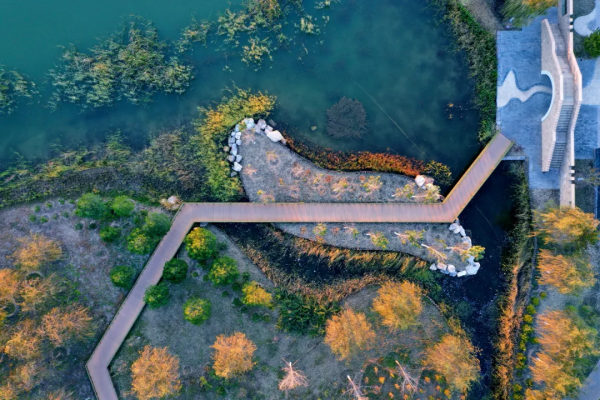 秋染副中心① | 漫步賞秋，張家灣公園內，秋色也能勝春朝！