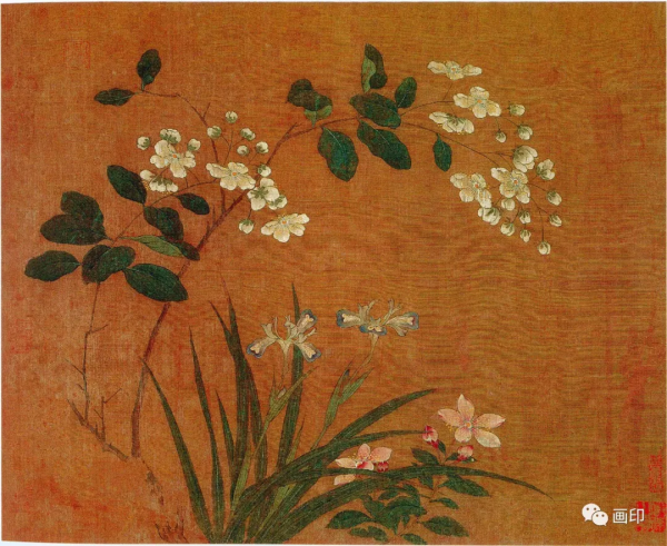 五代 · 黃居寀《花卉寫生圖冊》