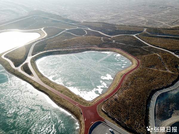 冬日的城市森林公園 美麗圖案如夢如幻