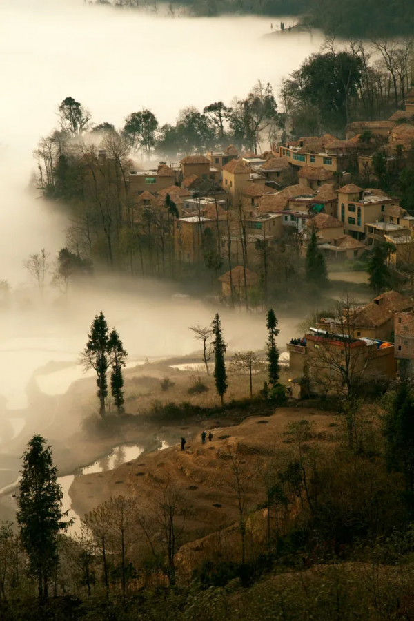 曾破吉尼斯世界紀錄！80萬畝花海齊綻放！這裡藏著國內最早的春天