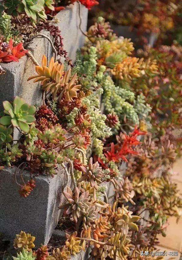 他賣掉城裡的房子，包了個山頭，打造集裝箱陽光房、小木屋、花園