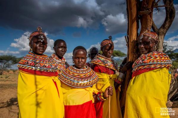 竟能養活非洲象，想必是“非洲第一奶”