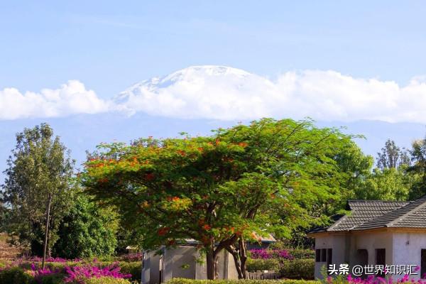 坦尚尼亞，曾經的貿易中心，27個有趣的事實帶你深入瞭解這個國家