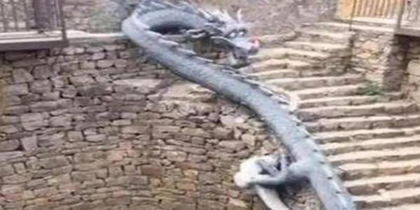 古今異聞-北京北新橋鎖龍井