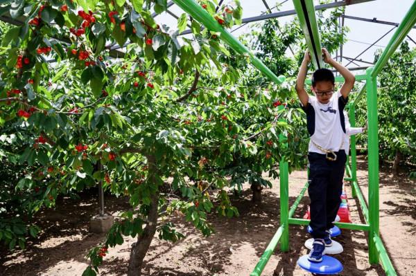 北京號帶您“雲”遊~2021北京網紅打卡地之人文景觀類（上）