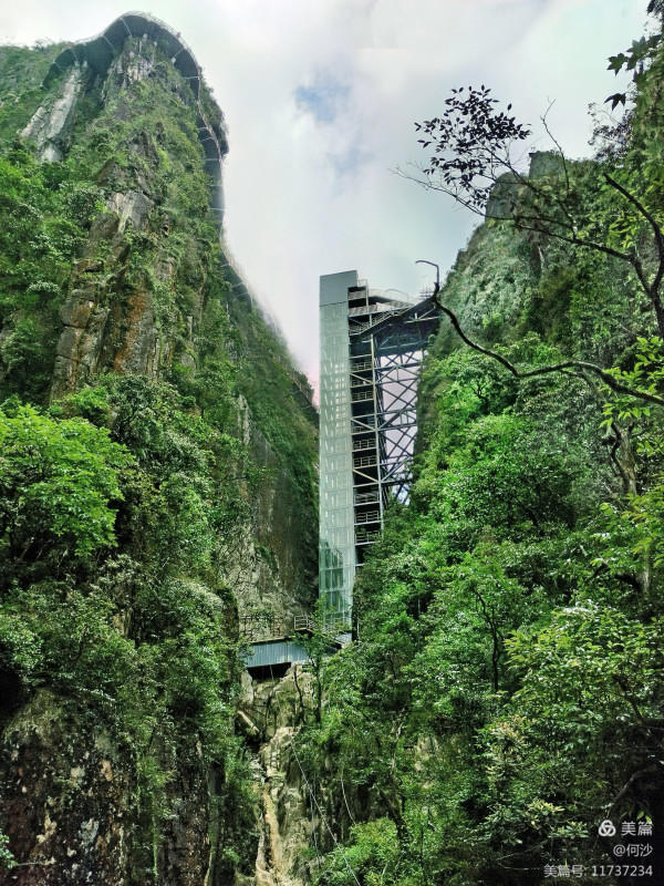 大美莽山(上) 大美莽山(上)