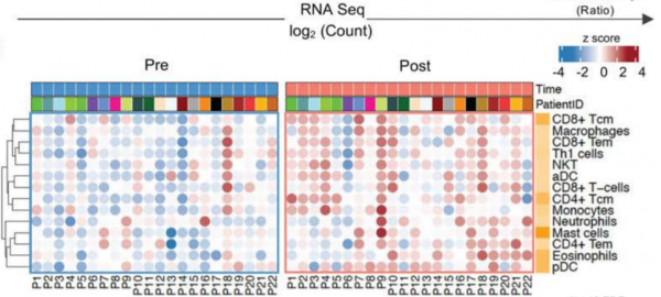 模擬斷食或許真能抗癌！人體研究首次證實，模擬斷食飲食能&OpenCurlyDoubleQuote;餓死&rdquo;癌症患者體內的免疫抑制細胞，營造更有利的免疫環境丨臨床大發現