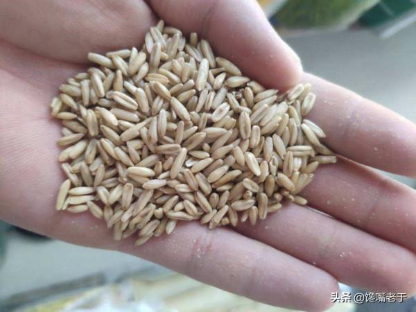 冬天女人減肥，6種粗糧代替主食，每天換花樣吃，身材苗條氣色好