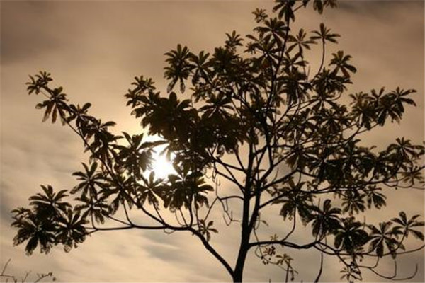 怎樣才知道自己是不是下凡歷劫 怎樣才知道自己是不是下凡歷劫