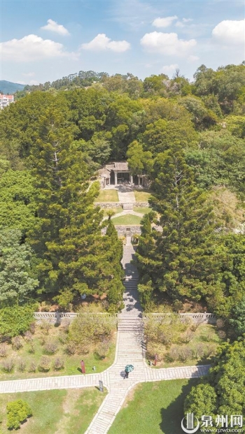 泉州伊斯蘭教聖墓曾現滿山白梅盛開景象 泉州伊斯蘭教聖墓曾現滿山白梅盛開景象