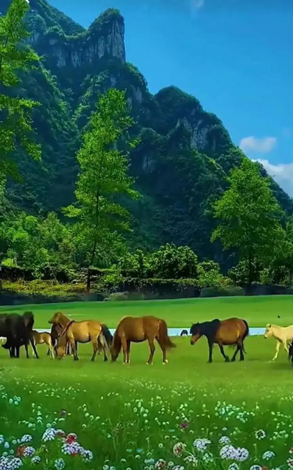 人到中年，50歲的70後，你的人生下半場怎樣安排？活得通透了嗎？