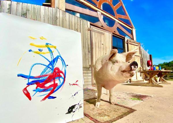 南非有一頭叫豬卡索的豬,畫了一幅畫,賣了近17萬人民幣 南非有一頭叫豬卡索的豬,畫了一幅畫,賣了近17萬人民幣