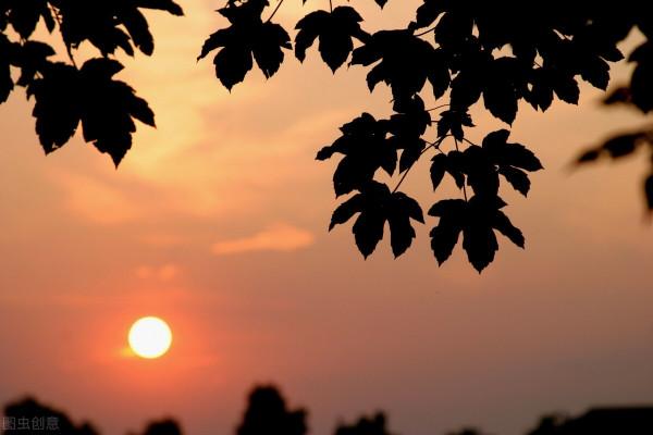 短篇小說 | 命 運