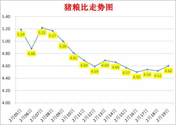 豬價上漲！2022年2月19日生豬價格