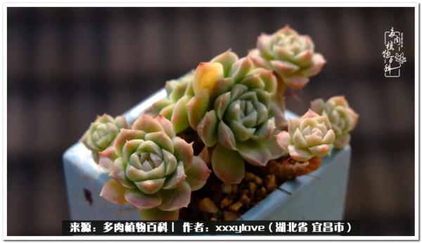 時光匆匆，一閃而逝，這世間萬物的美，都值得被記錄