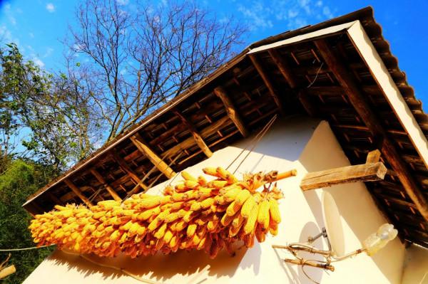 一位縣城公務員的雙休