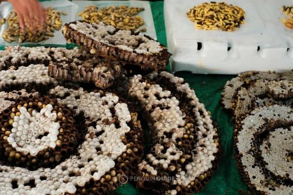 全國秋天神仙菜市場大賞 全國秋天神仙菜市場大賞