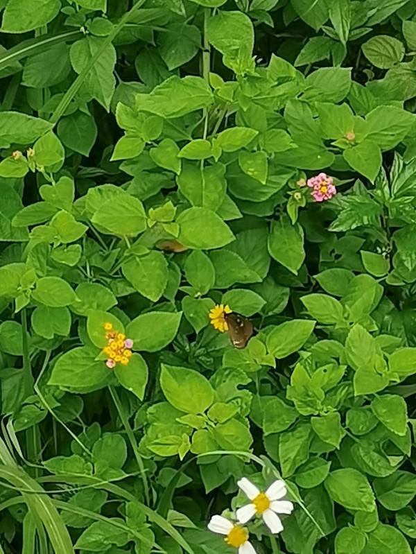 公元某年某月某日某山半日遊